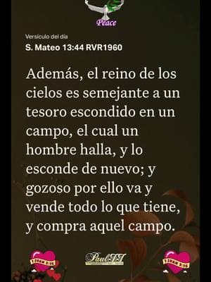 S. Mateo 13:44 RVR1960 #versiculodeldia #labibliaapp #jesus #juan316 #fe #amor #jesusvienepronto #pauljjmusic🙏🏻📖🙌🏻👍💡 