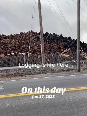 #onthisday #forkliftcertified #loggersoftiktok #loggers #californiaadventure #spi 