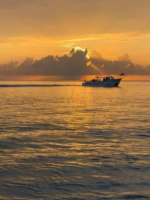 “Trust in your worth.” #sunsetlover #beachtherapy #goldenhour #oceansunset #paradise #florida 