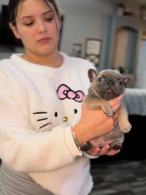 Isn’t he lovely   #chubby #goshhescute #fypシ #foryoupage #bearcub #pibble12#frenchieshow #813frenchiesline #813frenchies #fortheloveofpuppies #puppiesgoviral #viralpuppy #chunky #squishyfacecrew #teddybearface #outstanding #bestofthebest #sweetlittleangel #sweetlittlepuppy #pibble  #yourbestlife #pibblelove #pibblelife #pibblemix #pibblemom #pibbleface #pibblesofig #pibbleadvocate  #pibblefans #pibblesoftiktok #tiktokviral 