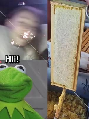 Kermit With The Rizz! 😂 #kermit #funny #kermitthefrog #puppet #funnyvideos #kermitontiktok #rizz #meme #wrizz #rizzler #tiktokuni #fypシ゚viral #pov #foryoupage #fypツ 😅 