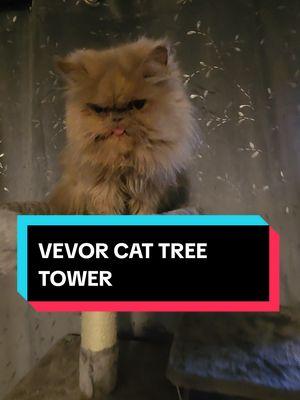 VEVOR INDOOR CAT TREE, CAT TOWER, 2 CAT CONDOS, SCRATCH PAD, JUMPING PLATFORMS, BALLS AND MORE #cattree #cattrees #cattower #cattowers #cats #cat #animals #pets #animalsoftiktok #vevor #vevorproducts #cattreetower #animalfriends #petplay #fyp #viral #tiktok #fypage #fypシ゚viral #ttslevelup #mademyyear #ttsdelightnow #giftguide #fy  #spotlightfinds #treasurefinds #tiktokshopnewyearnewaura #tiktokshoplastchance #sales #tiktokshoploveatfirstfind #tiktokshopcreatorpicks #sale #TikTokShop #tiktokshopping #trending2024 #viralvideos #onsale #flashsale #giftideas #giftidea #tiktokshopfinds #tiktokmademebuyit #foryou #foryoupage #trending #wow #tiktokmademedoit #getyours #today #tiktokfinds #tiktokfind #tiktokviral #tiktokviralvideo #tiktokviraltrending #ttsacl @HAIDEE_Vevor @Vevor_US @vevor shop 