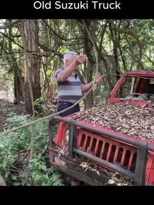 Will it START and DRIVE out of this Vine Forest- Old Suzuki Truck #britishcars #barnfinds #classiccars #Repair #restorationsskills, #restoration, #restore, #restoring , #DIY #creation #fyp #fypシ #foryou #foryoupage #viral #Abandoned 