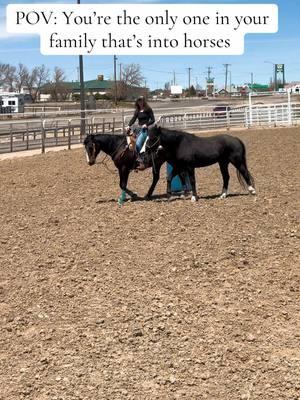 🤠🐮 #horsesoftiktok #alaskathemustang #raintheqh #horses #horsefyp #equestriansoftiktok #horselife #horsetok #mustanghorse #quarterhorse #wildhorses #fyppp #horsetok #equestrian 