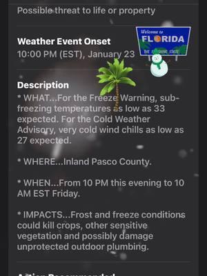 #florida #lanacrazylikeafox #foryoupage #fypシ #fyf #weather 