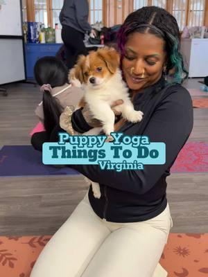 🐶Puppy Yoga in the DMV🐶 📍Arlington, VA ⏰times vary by class day - classes are 1hr long 📆classes are subject to rescue puppy availability (*recommend subscribing to @Beth A Wolfe Yoga newsletter to stay updated*) 💰$50pp ✨Classes benefit @catdogfriendrescue ✨All sessions are in partnership with a shelter or rescue organizations (❌no breeders❌) 👧🏽Children must be 10 or older ♿️There are steps required to get to the floor where the yoga is hosted (no elevator available)  *heavy sigh* Ahhh I love the new innovative ways we have therapy! Because puppy yoga has healing powers I never knew of! There’s truly nothing like seeing baby fur balls run around the room, trip over each other, bite things they shouldn’t be & pee on items that aren’t theres. Pink and blue must be the vibe because me + @Anita were just large puppy pads to these guys😂 All jokes aside, accidents happen but Beth’s team makes sure to help asap and cleaned up every last drip! As long as they’re still available, these pups are also adoptable. But you better hurry quick because these babies are gone before they even arrive! This seriously was such an entertaining time an a great way to end a fun workout I had earlier in the morning. Beth hosts classes with other animals like goats & kittens, but if you’re in the mood of some less hairy friends - then you can join her regular yoga classes, sound baths, meditation, and more! —---------- #thingstodova #thingstodoindc #visitdc #puppyyoga #arlingtonva #dmvthingstodo #dmvdateideas #visitvirginia #catdogfriendrescue