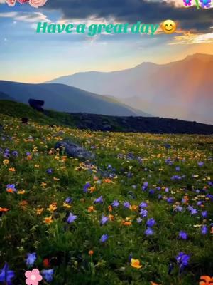 #naturalbeauty #nature #wildflowers #fieldofflowers #breathtaking 