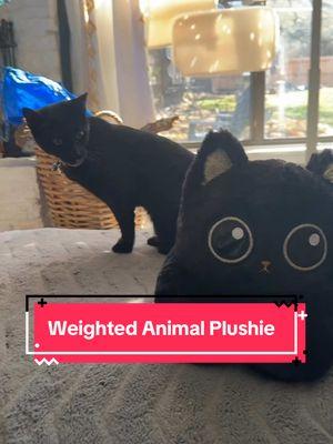 Weighted plushy animals. That has a microwaveable heat or cooling insert ! 🩷🩷 ##WeightedAnimal##WeightedPlushy##Plushy##AnimalPlushy##HeatingPadAnimal##IcePackAnimal##WaitedHeatedPlushy##plushies##plushiesoftiktok##plushy##animalplushies##plushieanimals##weightedcat##catplush##catplushie##weightedpillow##tiktokshopjumpstart##TikTokShopLoveAtFirstFind ##tiktokshopjumpstartsale  ##mademyyear##SuperBrandDay##betteraltsbd