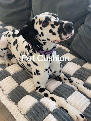 This pet mat is perfect for your couch and you can even use it on the floor. Your dog and your pets will love the soft cushion you feel and it helps to keep pet fur off your furniture. #petmat #dogmusthaves #furnitureprotection #dogblanket #couchcover #newyearnewaura #PetsOfTikTok #dalmatiansoftiktok #dalmatians 