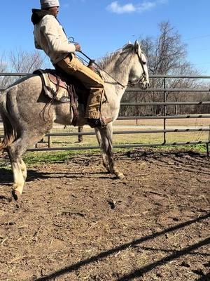 Rip to our fav colt saddle 😭😂 #bronco #conchoboy #hancockhorses #fyp #stickyyyy #tiktoktraining 