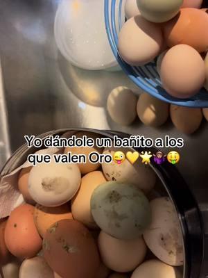 Pa los que tienen que comprar 😬#huevos #huevosfritos #precio #precios #humortiktok #viralvideo #eggs #gold #🤑 #gallinas #farmlife #parati #tiktokviral #comida #FoodTok #fyp 