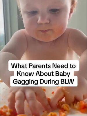 Like and share 👇 if baby gagging freaks you out! If yes, you’re in good company. It can help to remember that baby gagging ⁠is a normal, noisy, necessary part of learning how to eat. It’s actually a natural, built-in safety mechanism that allows babies to bring forward food they are not yet ready to swallow. So in many ways, it’s a GOOD thing! (I’m Malina, btw - pediatric dietitian & single mom of 3 specializing in nutrition for moms, babies & kids 💕 - and I’m so grateful to the amazing mom of this 11-month-old fab fellow for allowing me permission to share her helpful video!) If you’re finding it a major challenge to stay calm & positive & not intervene during a baby gag, the best thing you can do is to educate yourself about: ✅ Which foods, food shapes & textures increase choking risk⁠⠀⁠⠀⁠ ✅ How to size & texture foods safely for baby ✅ What the differences are between gagging & choking ✅ Infant CPR & first aid, so that you are prepared in the unlikely event of a choking episode ✨ 👉 Choking episodes are rare. But it’s important for anyone feeding an infant to be trained in infant CPR and first aid, just in case. My fave online course for this is made by a nationally certified Red Cross and Lifesaving Society First Aid Instructor. It’s an EXCELLENT, 2-hour, self-paced online course from @safebeginnings. Head to where the links are kept for the link plus my 20% discount code. ✨ 👉 Need guidance on starting solids? Head to where the links are kept to download my free BLW starter guide. It includes a short list of budget-friendly essentials, lots of top expert feeding tips, and a 5-day meal plan. #blwinspo #feedingmybaby #selffeedingbaby #feedingbaby #whatmykideats #babyledweaningmeals #growingbaby #raisinghealthykids #babyledweaninginspiration #whatmybabyeats #healthymomhealthykids