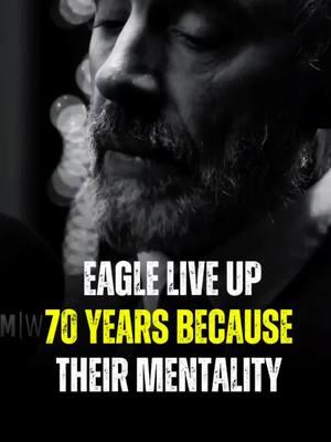 eagle can live up 70 years #motivationalvideos #motivationalquote #inspirationalquotes #inspiration #fypシ゚viralシ #reels #DenzelWashington #Motivation #Quotes #Inspiration #Success #Mindset #Growth #Hustle #NeverGiveUp #BelieveInYourself #denzelwisdom #donaldtrump2020 #50 #500k #50cent #joker #joke #jokerchallenge #tik_tok #tik 