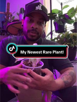 hey guys, guess my newest rare plant that I just added to my collection today. #rateplant #newplant #plants #plantpeople ##rareplants##fyp##plantfyp##cbus##ohio