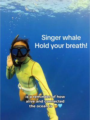 Were you able to hold you breath!? Such an epic moment diving and listening to the singer whale 🩵 #whalesong #whalesongs #singerwhale #ocean #freediving #bubblering 