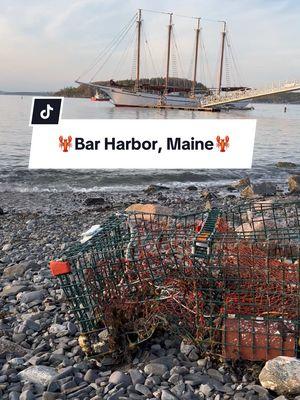 🦞Bar Harbor, Maine🦞 #barhabor #barharborme #barharbormaine #maine #mainer 