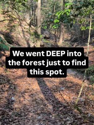 We went deep into Bankhead National Forest to find this one spot.  Do you think it was worth it?  #adventuresinalabama #visitnorthal #getoutgetwild #wearenorthalabama #visitalabama 