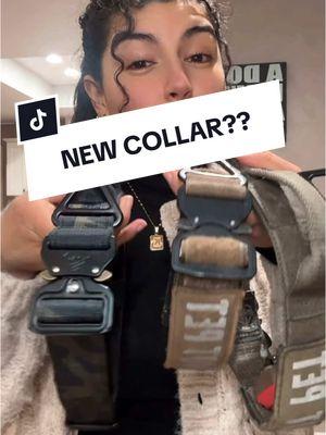 finding the right tools for our dogs can feel like a big decision. Today we’re comparing two special collars to see what works best at the price point. It’s all about helping our furry friends feel safe and cared for at a price point we feel comfortable with #doggear #dogsafety #ecollar 