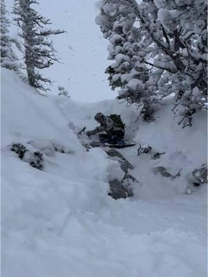 On the Bridger Ridge someday you are the Billy goat and some days you are the rock. #skitok #skiing #skiinstructor #ski  #montana  #bridger #bridgerbowl 