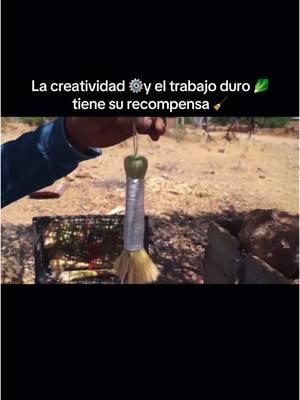 La creatividad de este agricultor para hacer su producto artesanal es muestra del trabajo duro de los farmers documentado por ‘Mi querido Zacatecas 🎥y más de #farmer #farmers #working #farmerlife #maguey #plants #hardwork 