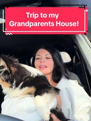 Don’t know how I got so lucky to be born into this family 😩 #family #corgi #grandparents #familytime #grandmasoftiktok #grandpasoftiktok #funny #funnydog 