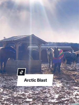 The Arctic blast is finally passing! Yay! #michigan #horsecare 