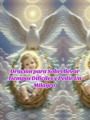 #CapCut #oracion #oracionespoderosas #oraciones #oracionmilagrosa #divinoniño #divinoniñojesús #jesus #jesuslovesyou #jesusenticonfio #milagro #salud #enfermedad #enfermo #enfermos #dios #diosteama #diostebendiga #fe #religion #bendiciones #bendiciones🌹❤️🙌🏻🙌🏻🙏 #paratiiiiiiiiiiiiiiiiiiiiiiiiiiiiiii #fy #fypage 