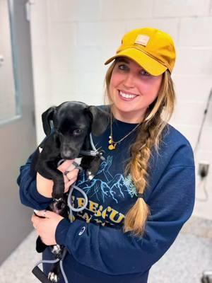 This is Otis’ story! We met Otis when touring Pickens County Animal Shelter with @youcanrescue . Wtach the full video to learn how he woynd up in the shelter, completely shut down and terrified. He got his freedom ride and came into our rescue! He will be adoptable soon!  #animalrescue #dogrescue #animalrehabilitation #fosterrescueadopt #fosteringsaveslives #rescuedog #shelterdog #transformationstory 