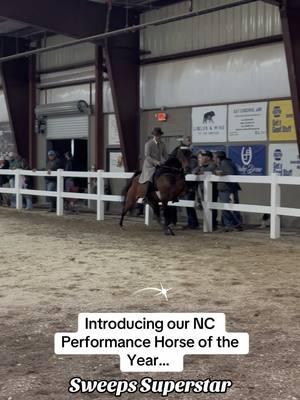 Saturday night, Sweeps Superstar was crowned 2024 NC Performance Horse of the Year! Sweet Boogie! #tennesseewalkinghorses #horses #tennesseewalker #horseshow #horse #equestrian #paddedhorse 