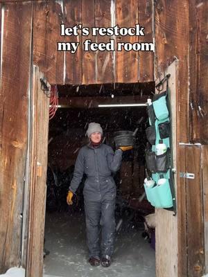 i staaay keeping my babies fed #standleeforage #shopstandlee #restock #feedroom #barn #westernlifestyle #montana @Standlee 