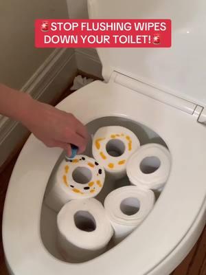 STOP USING DUDE WIPES. Get a BIDET Instead. save your toilet and don’t get a plumber. Bidet’s do it BETTER! #bidet #dudewipes #toiletpaper #toilet #toiletproblem #toiletproblems #schlayer 