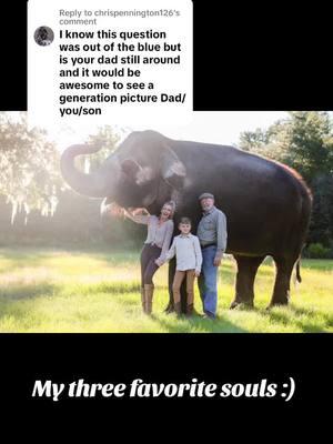 Replying to @chrispennington126 #elephant #animal #animallover #tiktok #mybestfriendisanelephant #multispeciesherd #interspeciesfamily 