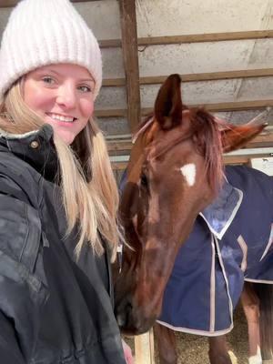 big red dog #nitrojp #horse #eq #warmblood #kwpn  #dutchwarmblood #equestrian #horseaesthetic #horsesounds #horsegirl #horseaudio #lipsyncsounds #horsesoftiktok #chestnuthorse #lovehorses #flatwork #dressage #hunterhorse #jumperhorse #hunterjumper #horsetraining #babyhorse #horselove #horsebestfriend  #showjumpers #warmbloodjumper #equestrianaudios #horsegirlsounds #equestriansounds #editsounds #babyhorsetraining #equestrianrelatable #equestrianreposts #horsereposts #horsegroundwork #horselibertywork #horseliberty #horsetraining  #horseneckrope #bridlelesshorse #bridlelessriding #barebackhorsebackriding #bitlessriding #bitlessbridle #neckroperiding