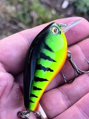 An OG fire tiger pattern for a client! Link to website in bio!  #fyp #walshhogcustombaits #lurepainting #fishinglure #like #follow 