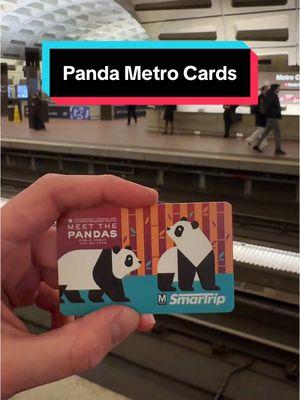 My new fav DC metro item #dc #washingtondc #thingstodoindc #pandas #panda #nationalzoo #panda🐼 #metro #subway #wmata #cute #animals #viraltiktok #4upage #fyp 