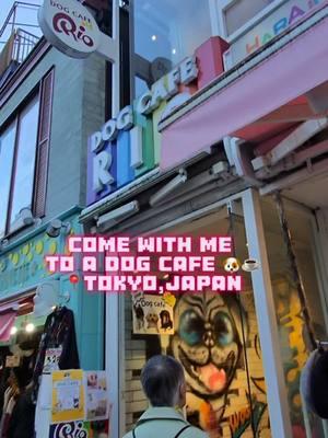 That dog was bout to get it 😭😭😭 #dogcafe #tokyo #japan #dogsoftiktok #dog #dogbites #solotravel #solotrip #meta #metaglasses 