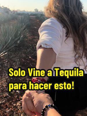 “Destilando Amor” cuando en Tequila busca a la GAVIOTAAA! . . #gaviota#tequila#agave#destilandoAmor#pepeAguilar#mexico#jalisco#parati#latino#mexicanos#viral#reto#dianacorzomusic#dianacorzo 