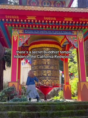 Buddist temple hidden in the California Redwoods?!🌲 Land of Medicine Buddha is serene and makes a fantastic morning hike / stroll while in the Santa Cruz area. There's plenty of Prayer Wheels to visit and turn for anything going on in your life, plus some temples and hiking trails.  It's also totally FREE to go! Add this to your California bucket list and follow me @thewhimsysoul for more California travel tips! #LandofMedicineBuddha #Buddha #santacruz #captiola #bayarea #temple #Hiking #prayerwheel #santacruzmountains #sanfrancisco #bayarealife #travel #visitcalifornia #californiaoutdoors #norcal #santaclara #sanjose #redwoods