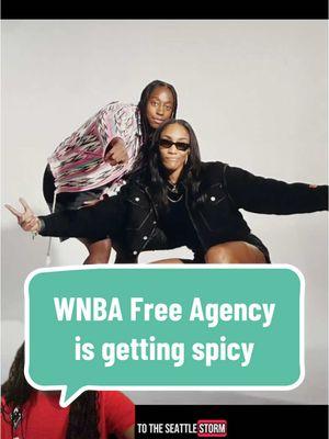 Replying to @flower what do y’all think will happen? 🧐 #WNBA #wnbaisback #wnbafreeagency #lasvegasaces #seattlestorm #chicagosky #womensbasketball 