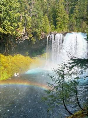 Dreaming of Oregon waterfalls! 😍😍  #pnwhiking #onlyinoregon  #onlyinyourstate #pnw #oregon  #exploreoregon  #exploreoregonstate  #themountainisout #americasbestidea #pnwonderland #nwisbest #pnwhikers #pnwroamers #exploreeverywhere #goatworthy #cascadiaexplored #godscountry #discoveroregon  #wanderlustlife  #pnwescapes #pnwparadise #oregon_ig  #pnw_captures #ourplanet #earth_reflect #hiddengems #pnwexplored #pnwcollective #traveloregon 