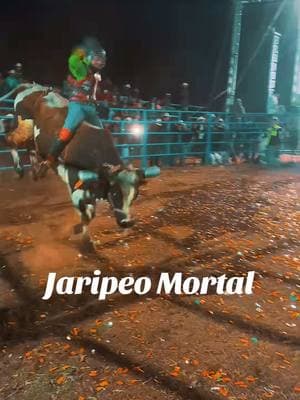 Chulada de monta en el salteador gto #jaripeo #jaripeoranchero #jaripeyerodecorazon #ranchoelguamuchil #pbr #jaripeomortal #torosdereparo #jinetesprofecionales 