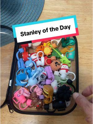 Stanley of the day! Alpine is one if my favorite green Stanley cups! I believe it’s still available. Which green Stanley is ur favorite? #stanleyoftheday #StanleyCup #stanleytumbler #stanleycollector #stanleyaccessories #cuphunter 