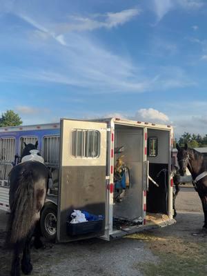 When it ain’t truck shows it’s horse shows 😼 #blessed #ranchopineda #pinedamasonry #horselife #mexico #florida #miami #calbagata #frison #calidad #chevy #silverado #ford #gmc #bluecollar #construction #luxury 