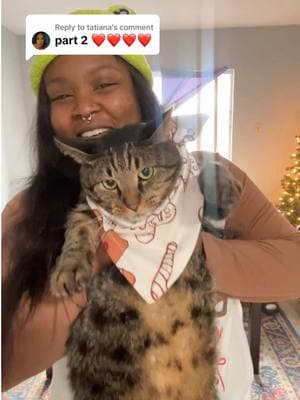 Replying to @tatiana sorry I’m late with the part 2 upload , I hit my head on the wall Christmas morning & was bah-hum-bug after! 🤣😭 I’m still recovering from the knot on my head!!! #matchingpjs #christmas #bestfriend #catsinclothes #fyp 