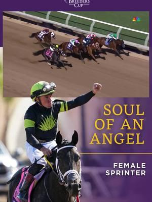 Soul of an Angel wins the Eclipse Award for Female Sprinter! Congrats to our 2024 @pncbank Breeders’ Cup Filly & Mare Sprint Champion! #EclipseAwards Jockey: Drayden Van Dyke Trainer: Saffie A. Joseph, Jr. Owner: C2 Racing Stable LLC, Agave Racing Stable and Reimer, Ken T. Owner Link Breeder: Westbrook Stables, LLC