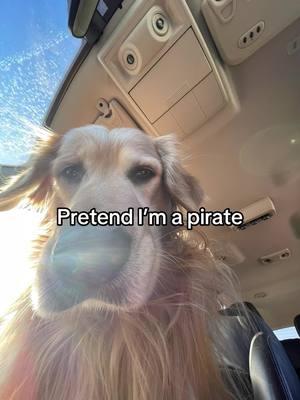 #goldenrizz #goldenretrievers #goldenretrieverpuppy #goldenretrieversoftiktok #goldenretriever #goldenretrieverpuppy🐶 #dogsoftiktok #rizzgolden #goldenrizztriever #fyp #goldenretrieverlife #dogrizz #viral #pickupline 