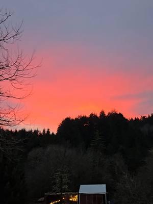 Un atardecer aqui en el rancho. A sunset here at the farm. #oregongallo #farmlife #rancho #vidaderancho #farm #atardecer #sunset 