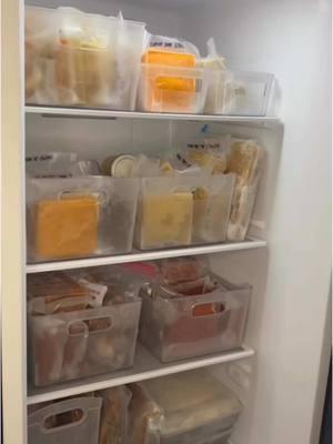 Ask me all your freezer questions. #mom #family #nospend #budget #budgeting #baking #cooking #madefromscratch #homemade #homemadefood #ingredientsonly #homemaker #homestead #simpleliving #foodpreservation #vacuumseal #freezer #deepfreezer #kitchenrestock #preservingfood #freezerstash #mealplanning #mealprepping #homemadekitchenrestock #hacks #KitchenHacks #kitchenstaples #homemadecooking #freezingfood #freezermeals 