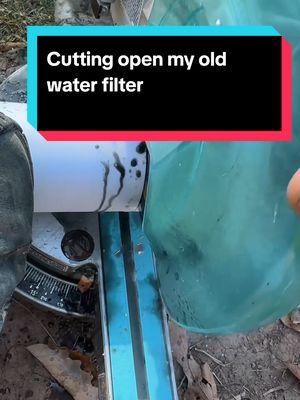 I'm loving the Waterdrop X12, it's fast and simple, making good tasting safe water for me on the homestead. Check out the details in my bi0 #narrowayhomestead #rainwatercollecting #waterdropfilter #waterfilter #waterdroppartner #offgridliving @Waterdrop Filters 