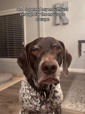 Mom may never recover from this one😩 #wyattthegsp #foryoupage #fyp 